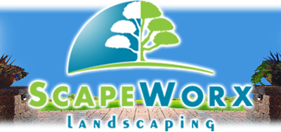 A logo of a tree and the words " grapevine landscaping ".