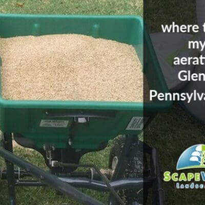 A green cart filled with grain on top of grass.