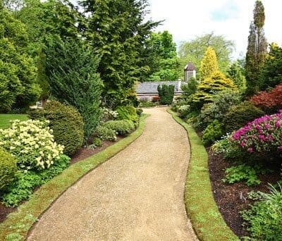 A garden path with lots of trees and flowers.