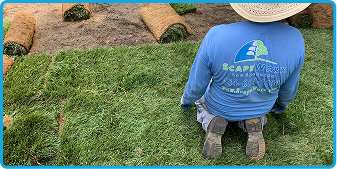 ScapeWorx crew installing fresh sod rolls on residential lawn