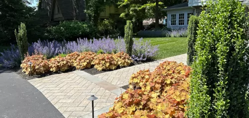 Finished landscape design with vibrant foliage and ScapeWorx signature plant beds