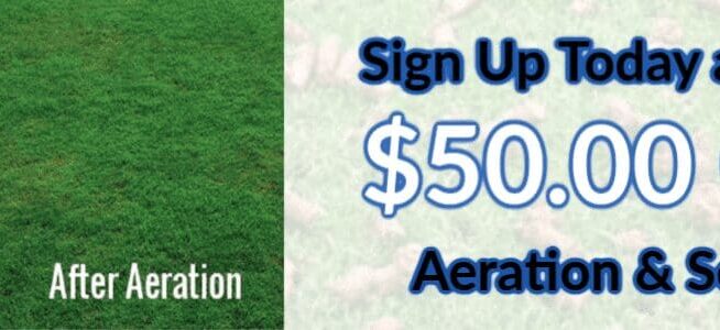 ScapeWorx lawn aeration before and after results with $50 discount offer