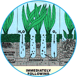 Core Aeration Icon Starting at $247 – Glen Mills, Garnet Valley, Media PA – ScapeWorx