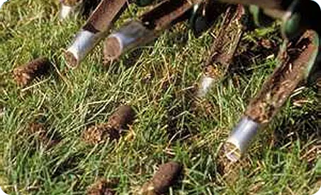 Core Aeration Services – Glen Mills, Wilmington DE, Media PA – ScapeWorx