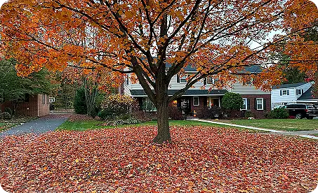 Leaf Clean Up Services – Glen Mills, Wilmington DE, Media PA, Garnet Valley – ScapeWorx