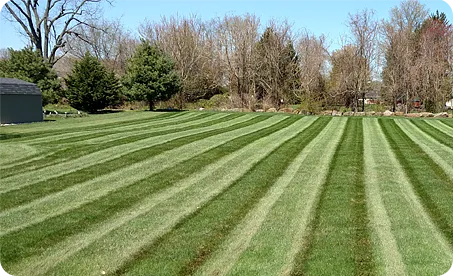 Lawn Care, Fertilization, and Weed Control – Glen Mills, Wilmington DE, Media PA, Garnet Valley – ScapeWorx