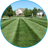 Lawn Care Applications Starting at $47.77 – Glen Mills, Garnet Valley, Media PA – ScapeWorx