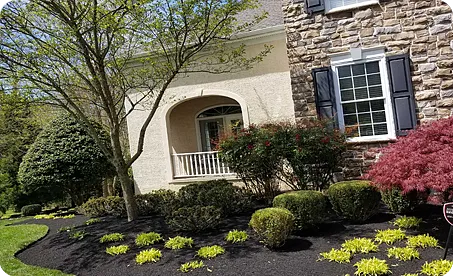 Black Mulch Installation Services – Glen Mills, Wilmington DE, Media PA – ScapeWorx