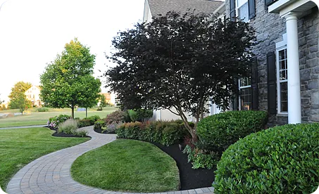 Pruning and Bush Trimming Services – Glen Mills, Wilmington DE, Garnet Valley – ScapeWorx