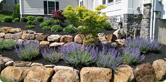 Plant Installation Services – Glen Mills, Wilmington DE, Garnet Valley – ScapeWorx