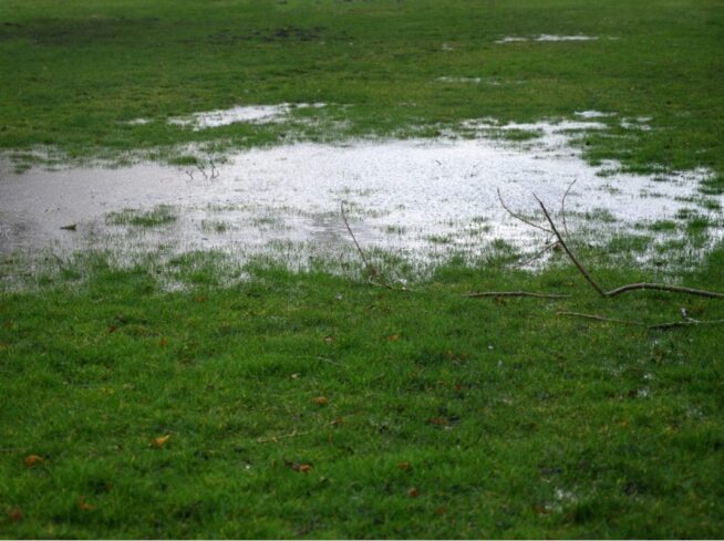 Standing water on lawn due to poor drainage