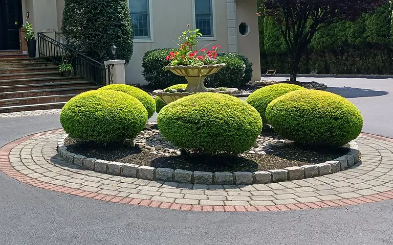 ScapeWorx hand pruning and bush trimming Chadds Ford PA