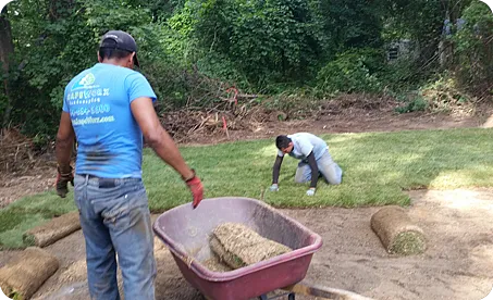 Sod Installation Services – Glen Mills, Wilmington DE, Media PA – ScapeWorx