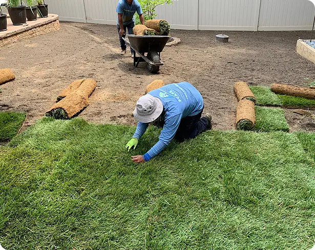 ScapeWorx sod installation Glen Mills, Garnet Valley, Media PA
