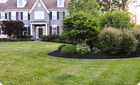 Spring Clean Up Services – Glen Mills, Wilmington DE, Media PA – ScapeWorx