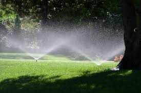 ScapeWorx irrigation system watering a shaded lawn area