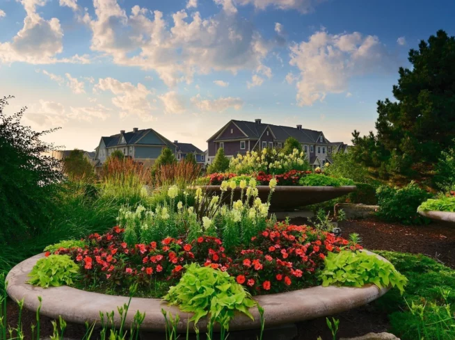 annuals-seasonal-color-2--in-glen-mills-garnet-valley-&-media-pa-scapeworx