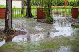 Flooded backyard in need of ScapeWorx drainage and grading services