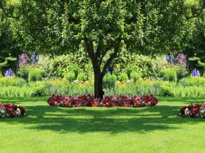 ScapeWorx custom landscape design with tree canopy and vibrant flower beds