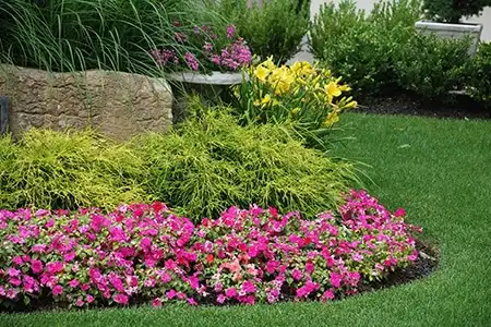 ScapeWorx flower bed design with layered plant textures and vibrant colors