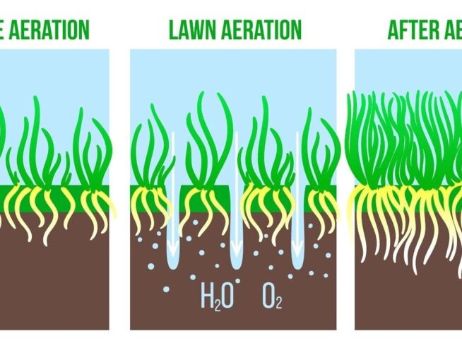 ScapeWorx lawn aeration process diagram showing grass health before and after service
