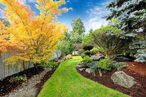 vibrant backyard landscape with curved green lawn and colorful trees designed by ScapeWorx