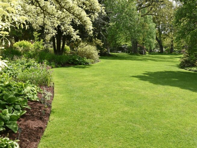 Manicured lawn and vibrant garden bed maintained by ScapeWorx