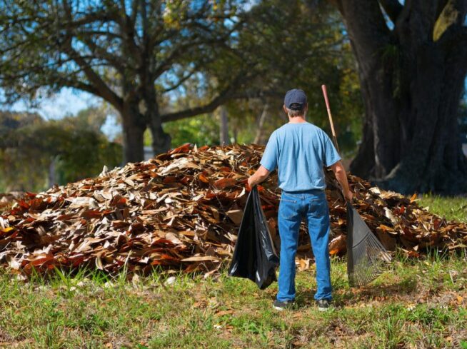 Crew members handling fall leaf clean-up in a residential yard