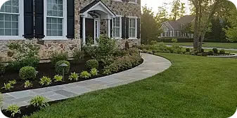 Lush, green lawn maintained through professional lawn care and fertilization services, with a clean-edged stone walkway and well-defined landscape beds