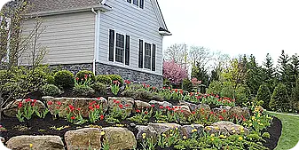 Beautifully layered landscape design featuring natural stone retaining walls, colorful spring flowers, and well-manicured shrubs