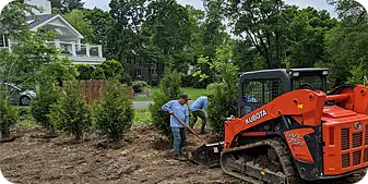 ScapeWorx crew members using a Kubota skid steer and hand tools to prepare soil and plant privacy trees during a landscape renovation project