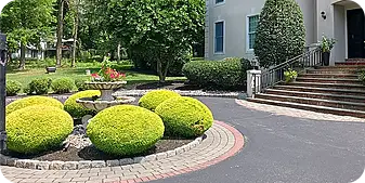 Well-manicured front landscape featuring neatly pruned golden shrubs, a decorative fountain centerpiece, and a circular paver border that adds elegance and structure to the driveway entrance