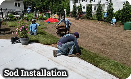 Top-rated sod installation company near me in Glen Mills, Garnet Valley, & Media PA by ScapeWorx