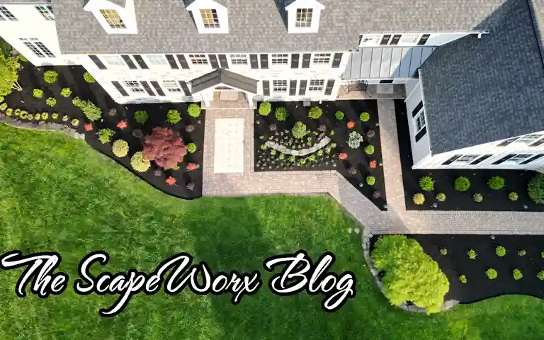 scapeWorx landscaping blog header image glen mills garnet valley media pa