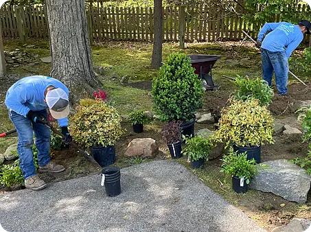 The ScapeWorx Experts prepping beds and planting shrubs during spring cleanup