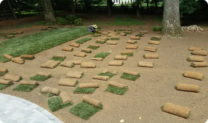 Sod rolls staged and partially installed in a shaded backyard by ScapeWorx