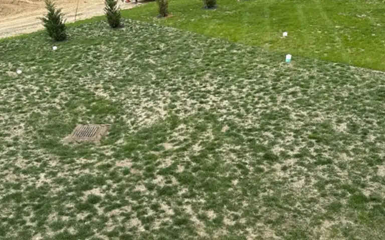 Patchy lawn needing repair in Glen Mills, Garnet Valley, and Media PA - ScapeWorx