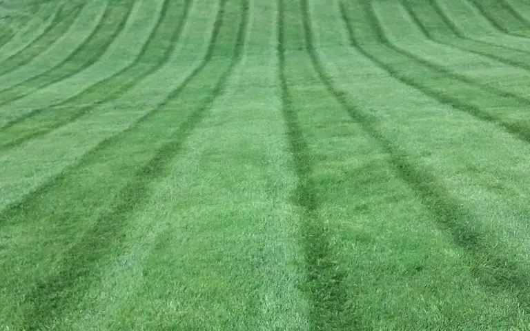 lawn mowing in glen mills, garnet valley, and media pa by scapeworx