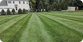 Freshly mowed lawn with precision striping in residential yard by ScapeWorx