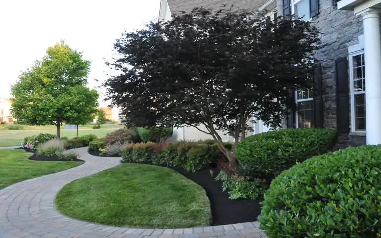 pruning and bush trimming in glen mills, garnet valley, and media pa by scapeworx