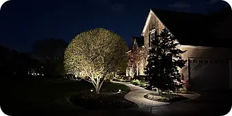 Nighttime landscape lighting with illuminated walkway and focal tree