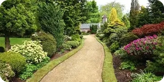 A garden path with lots of trees and flowers.