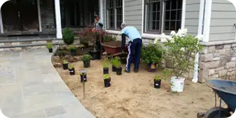ScapeWorx Crew working on plants in the sand.