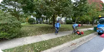 ScapeWorx crew performing leaf cleanup on residential sidewalk in Wilmington