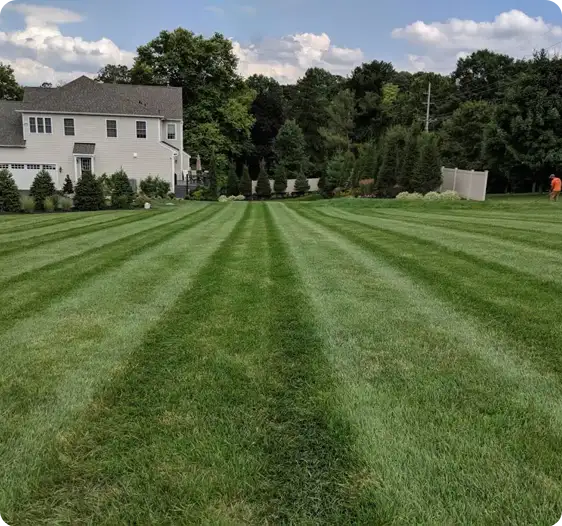 Aerated lawn with fresh striped grass lines and healthy green turf.
