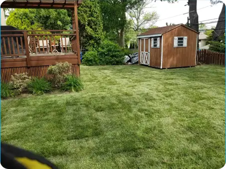 Close-up of lawn after core aeration by ScapeWorx showing soil plugs and healthy grass.