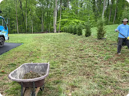 Lawn being aerated with visible wheelbarrow and landscaping work in progress.