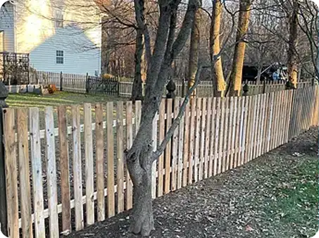 ScapeWorx wood picket fence weaving through trees in backyard