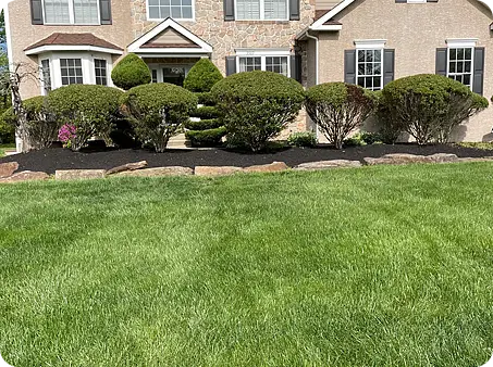 Hand trimmed shrubs and a fresh lawn with clean mulch around the garden