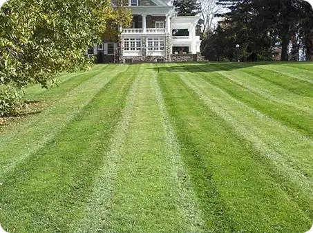 Alternating stripes cut into a large green lawn. Lawn Care by ScapeWorx.